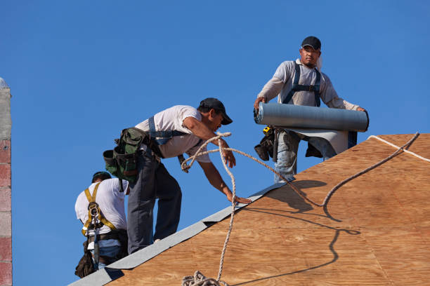 Best Roof Leak Repair  in Channahon, IL