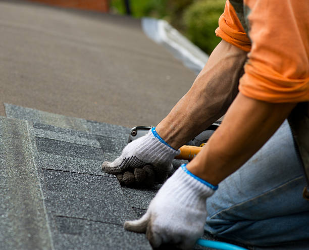 Best Residential Roofing Contractor  in Channahon, IL