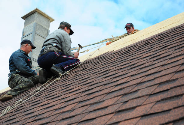 Trusted Channahon, IL Roofing Contractor Experts